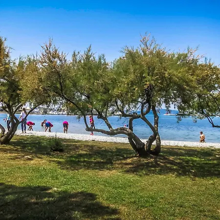 Tino-2 By Interhome Appartement *